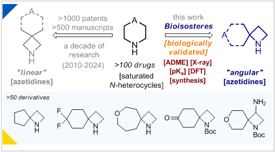 Mykhailiuk Chem 🇺🇦 (@mykhailiukchem) on Twitter photo Linear azetidines have been playing an important role in drug discovery. Today, we introduce their isomeric friends - angular spirocyclic azetidines!
In <a href="/angew_chem/">Angewandte Chemie</a>: bit.ly/4fWpGIy Linear azetidines have been playing an important role in drug discovery. Today, we introduce their isomeric friends - angular spirocyclic azetidines!
In <a href="/angew_chem/">Angewandte Chemie</a>: bit.ly/4fWpGIy