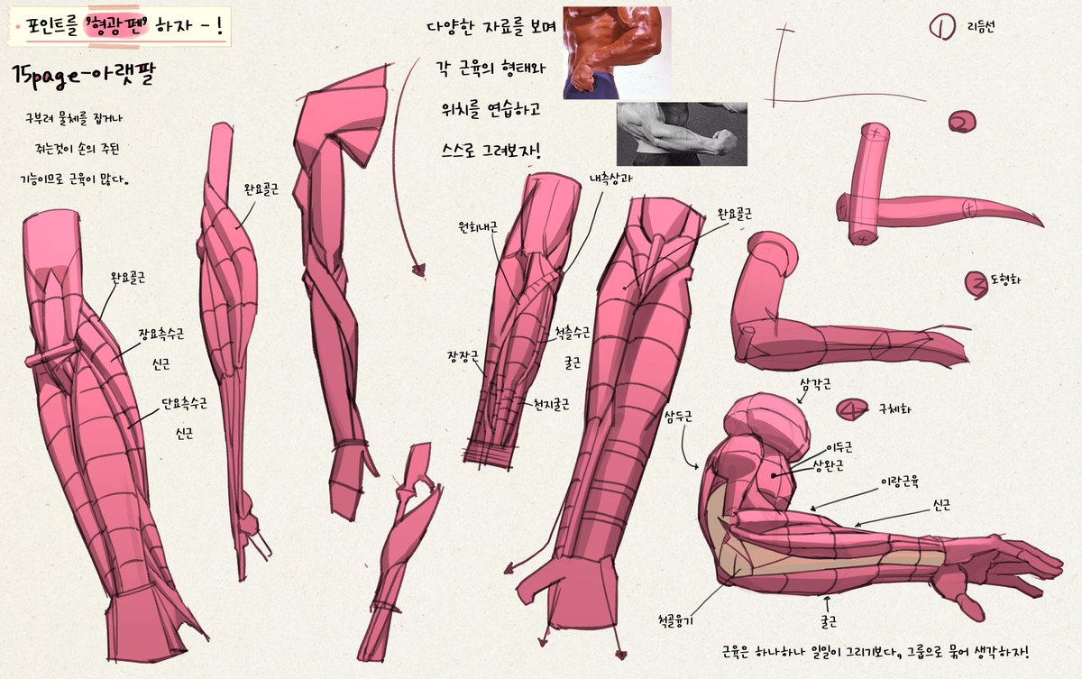 Study - !! 📝📝!