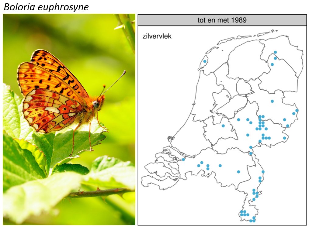 Chris van Swaay tweet media