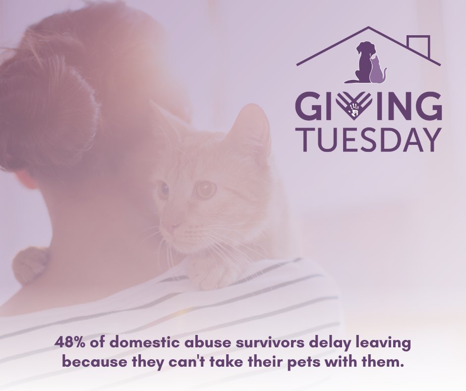 WacoFAC's tweet photo. What if there was space for them to rest and heal together? Will you join us this #GivingTuesday by helping us build our pet shelter?
Donate: https://t.co/KStVrarwn5 https://t.co/f8eqRA4PmC