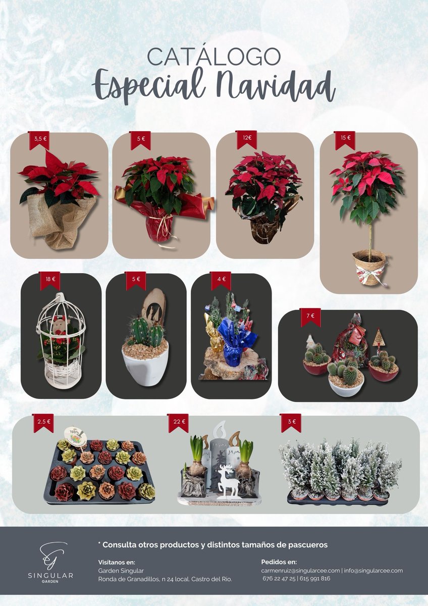 Singular Centro Especial de Empleo (@singularcee) on Twitter photo CATÁLOGO ESPECIAL NAVIDAD SINGULAR GARDEN
#Pascueros y detalles perfectos para decorar o regalar.
Fáciles de cuidar y mantener hermosos.
📍Visítanos en: Ronda de Granadillos, n 24 local. #CastrodelRío
📧Pedidos en: carmenruiz@singularcee.com
#singulargarden #navidad2024 #cee CATÁLOGO ESPECIAL NAVIDAD SINGULAR GARDEN
#Pascueros y detalles perfectos para decorar o regalar.
Fáciles de cuidar y mantener hermosos.
📍Visítanos en: Ronda de Granadillos, n 24 local. #CastrodelRío
📧Pedidos en: carmenruiz@singularcee.com
#singulargarden #navidad2024 #cee