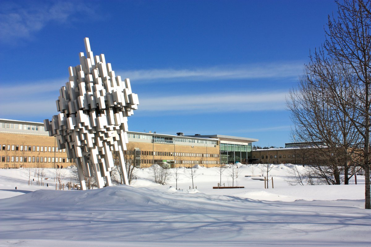 When Umeå University sums up this autumn's allocation of research grants, it is clear that the university's researchers have been more successful than last year, which will strengthen the university's research for many years to come. umu.se/en/news/increa…