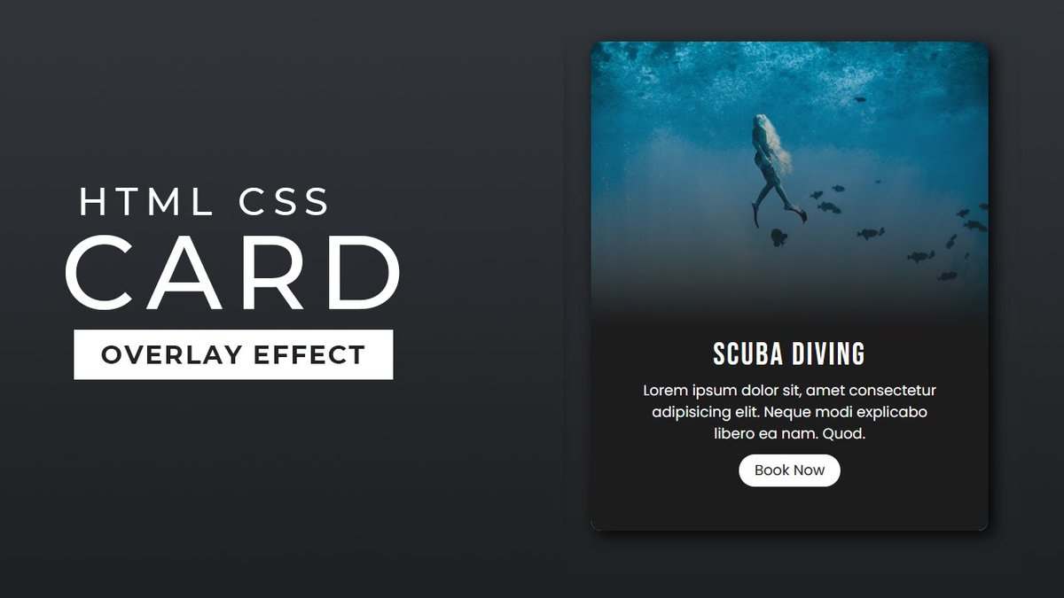 SarkerManash's tweet photo. Responsive CSS Cards

Video: https://t.co/FnWsO3uEvD

#frontend #FrontEndDevelopment #html #HTML5 #CSS #CSS3 #webdevelopment #Coding #FrontEndLove #100DaysOfCode #responsive #website #webdesign #csscard #cssanimation #animation https://t.co/vqR67474HS