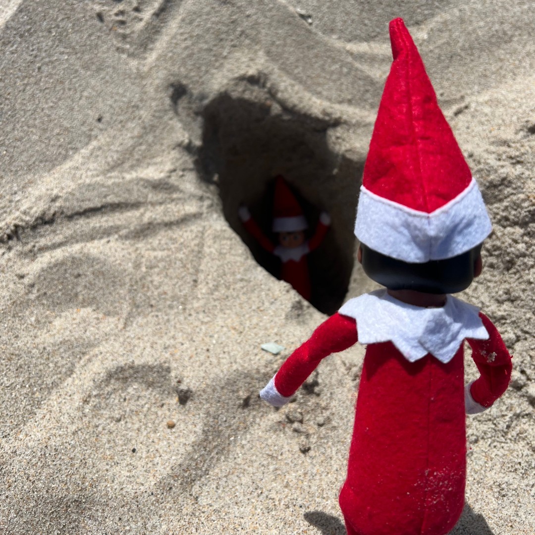 BrowardEnv's tweet photo. Coral and Skipper, our hardworking elves, had to take an unexpected break from their beach surveying duties. While measuring the shoreline, Skipper fell into a hole!

Fill in holes and knock down any sandcastles to prevent wildlife from falling in or being blocked. 

#ElfonaShelf https://t.co/4SylPwBcLL