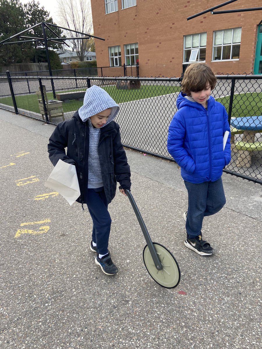 Hey <a href="/DP_math/">DP MATH</a>, we’ve been measuring some of our favourite animals. Did you know a giraffe is 6 m tall and that a crocodile can be 5.5 m long? We got the trundle wheel out to draw a Giant Ribbon worm that’s 54 m long and only 10 mm thick! 😳🪱