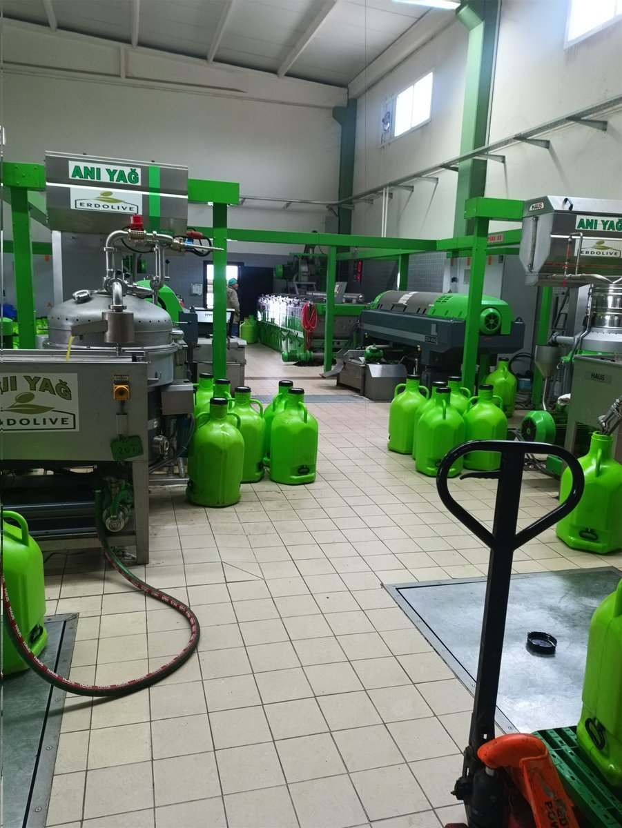 Elhamdülillah! Zeytinyağı bu sene bol ve  ucuz. Sahtecilere kanmayın. 
Bizde 5 litre kargo dahil fiyatı 1250