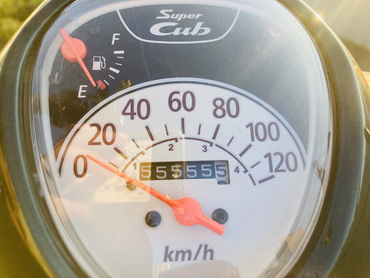 sam_kichi's tweet photo. 日本一周ゴールしました！
免許取って5日、バイク買って3日で出発した日本一周、無事に無事故二違反でゴールできました！

【期間】2022.6.3〜2024.12.3
【日数】914日（2年半）
【距離】約55555.5km
【費用】約6,000,000円

...費用えぐいて😇

日本、いいところでした。
ありがとうございました！！ https://t.co/JwMkWtvzcw