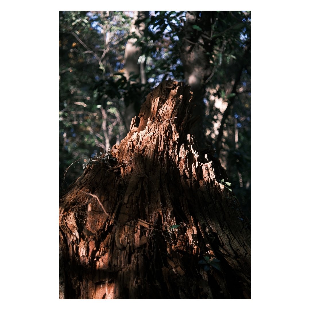 X-Pro3