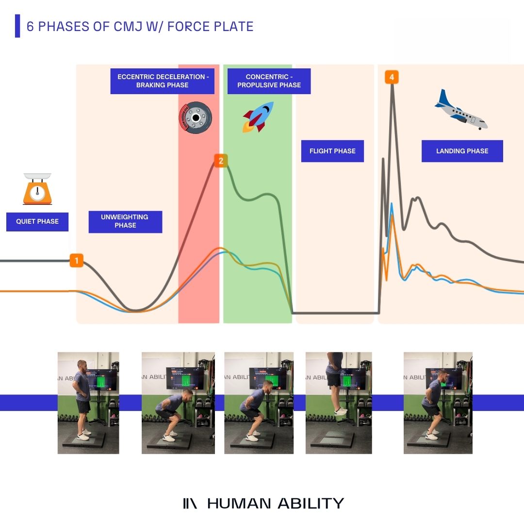 1/6 Como ya he dicho en muchas ocasiones "El CMJ es el reflejo de la capacidad neuromuscular”. Vamos, que es el jodido 👑 del atleticismo en cuanto a test se refiere.

Pero antes de profundizar en métricas, diagnósticos, etc, vamos a explicar las 6 fases claves de su cinética👇🏻