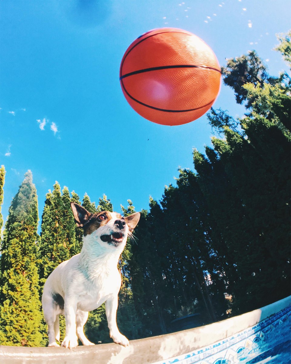 Stockimo tweet media