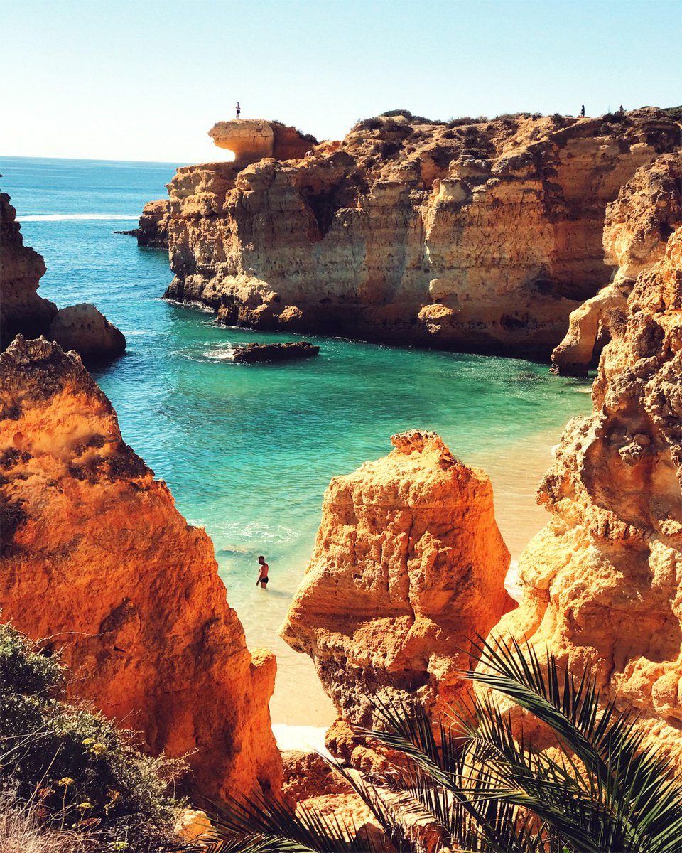 Stockimo tweet media