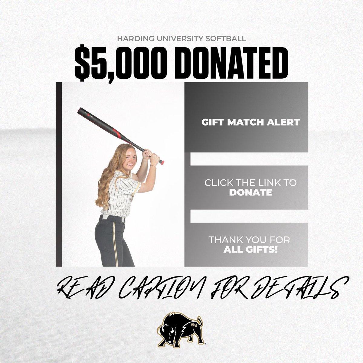 Harding Softball tweet media