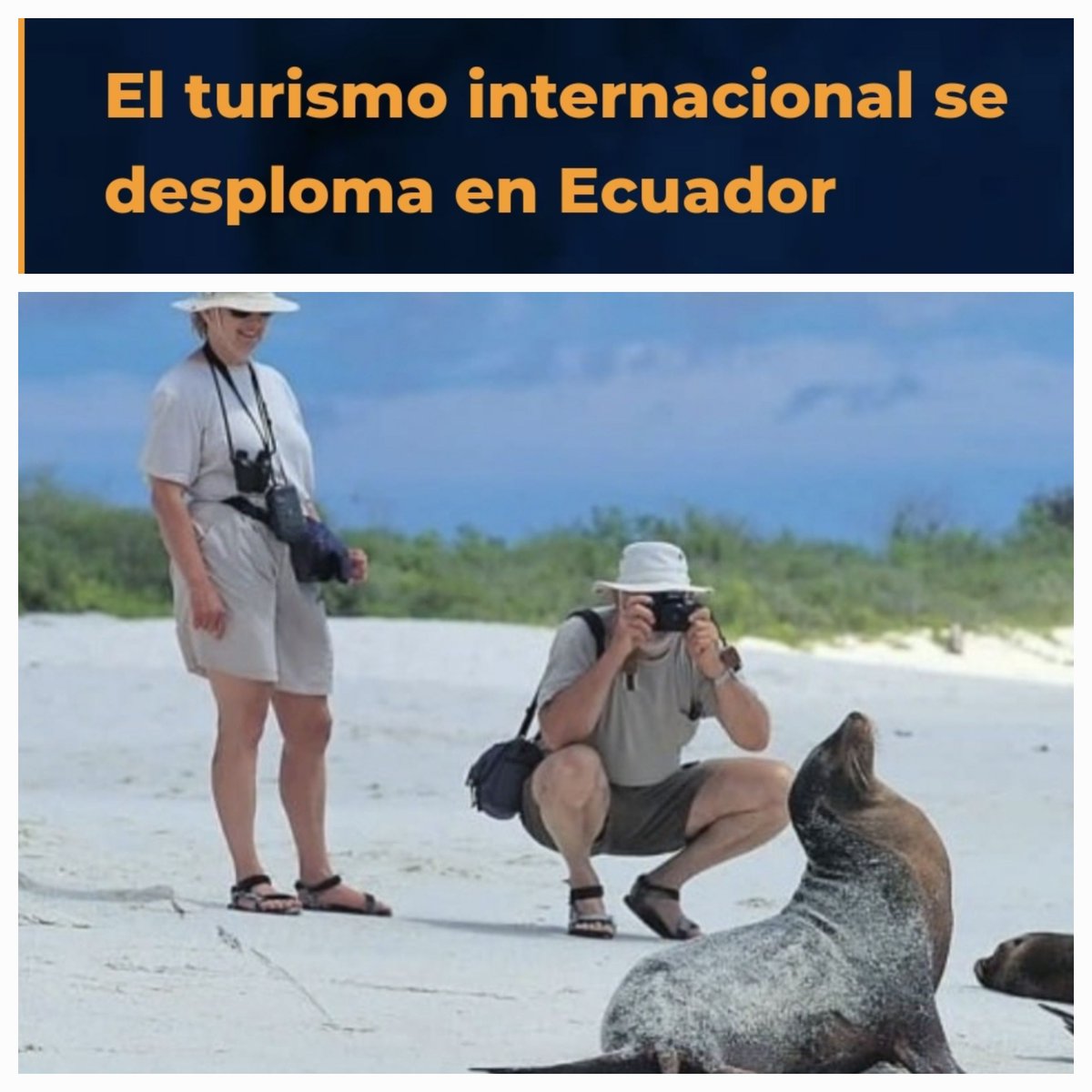 Juan Carlos Iragorri (@jciragorri) on Twitter photo ¿Cómo sacar a flote el turismo en el Ecuador, que en 2024 ha caído entre un 15 y un 20%? Responde hoy <a href="/Yestonoestodo/">Y esto no es todo</a> desde Guayaquil el presidente de la Cámara de Turismo de ese país, <a href="/HMunetonZ/">Holbach Muñetón Z.</a>. Óigalo aquí: youtube.com/watch?v=1e997G… ¿Cómo sacar a flote el turismo en el Ecuador, que en 2024 ha caído entre un 15 y un 20%? Responde hoy <a href="/Yestonoestodo/">Y esto no es todo</a> desde Guayaquil el presidente de la Cámara de Turismo de ese país, <a href="/HMunetonZ/">Holbach Muñetón Z.</a>. Óigalo aquí: youtube.com/watch?v=1e997G…