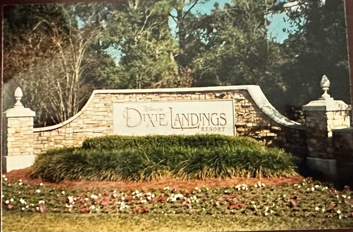 WDWDVC🌴 tweet media