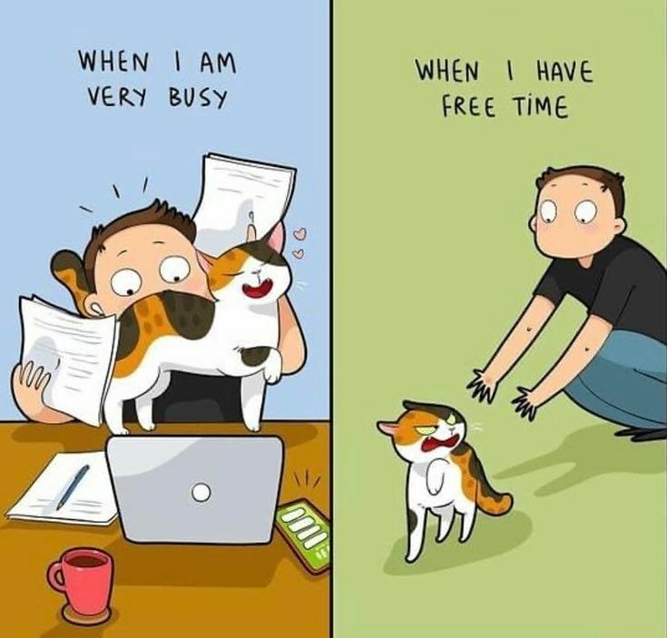 catshealdeprsn's tweet image. 