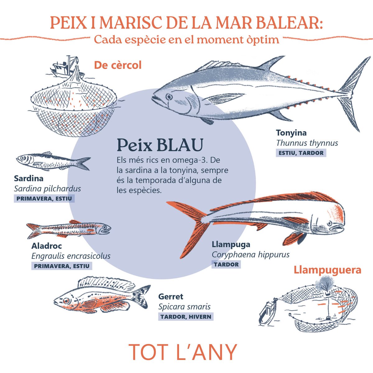 🌊Peix i marisc de la mar balear: Cada espècie en el seu moment òptim! 🐟✨

📌 El peix blau és un aliment molt sa gràcies als àcids grassos omega-3.

🍽️ Consulta el calendari de peix i marisc de la mar balear:

museumaritim.conselldemallorca.es/-/receptari-ma…