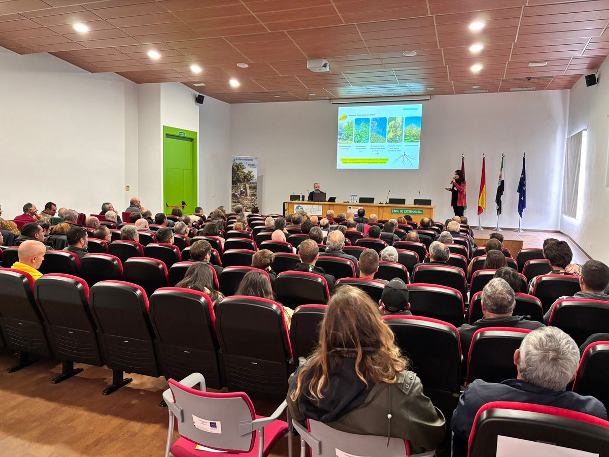 CICYTEX's tweet photo. Hoy en nuestro Centro de Agricultura Ecológica y de Montaña de Plasencia celebramos👇
🌰Jornada Enfermedades y plagas del castaño🦠
✅Organiza @ACVJSocial 
👩‍🔬Participan nuestras investigadoras Paula Serrano y Carmen Rodríguez 🔬
👉Grupo Operativo #yeswecast https://t.co/mTxa0dGoEq