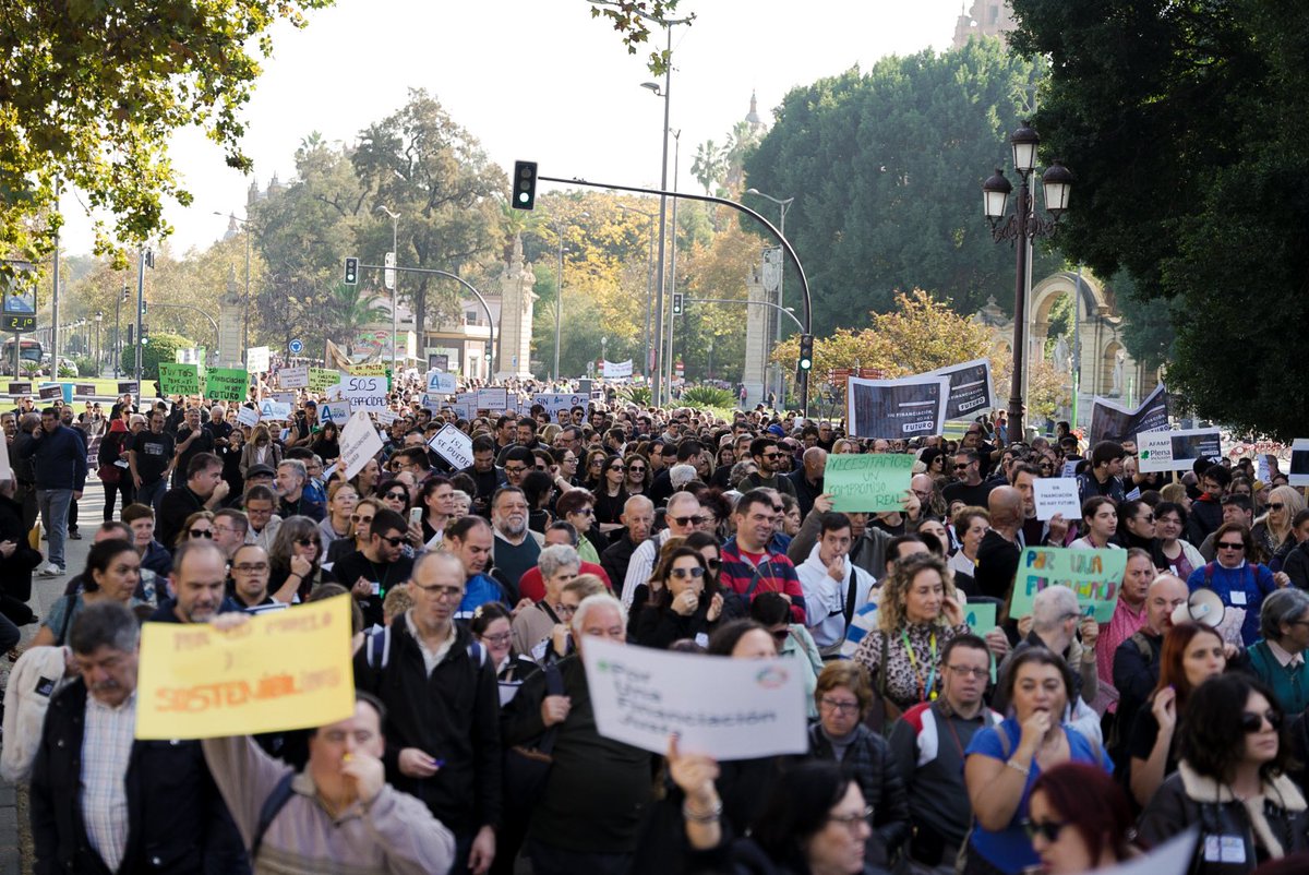 Llegamos a San Telmo unidos por nuestros derechos.

Exigimos una financiación justa y sostenible para la discapacidad en Andalucía.

💪 #JuntosPodemosEvitarlo