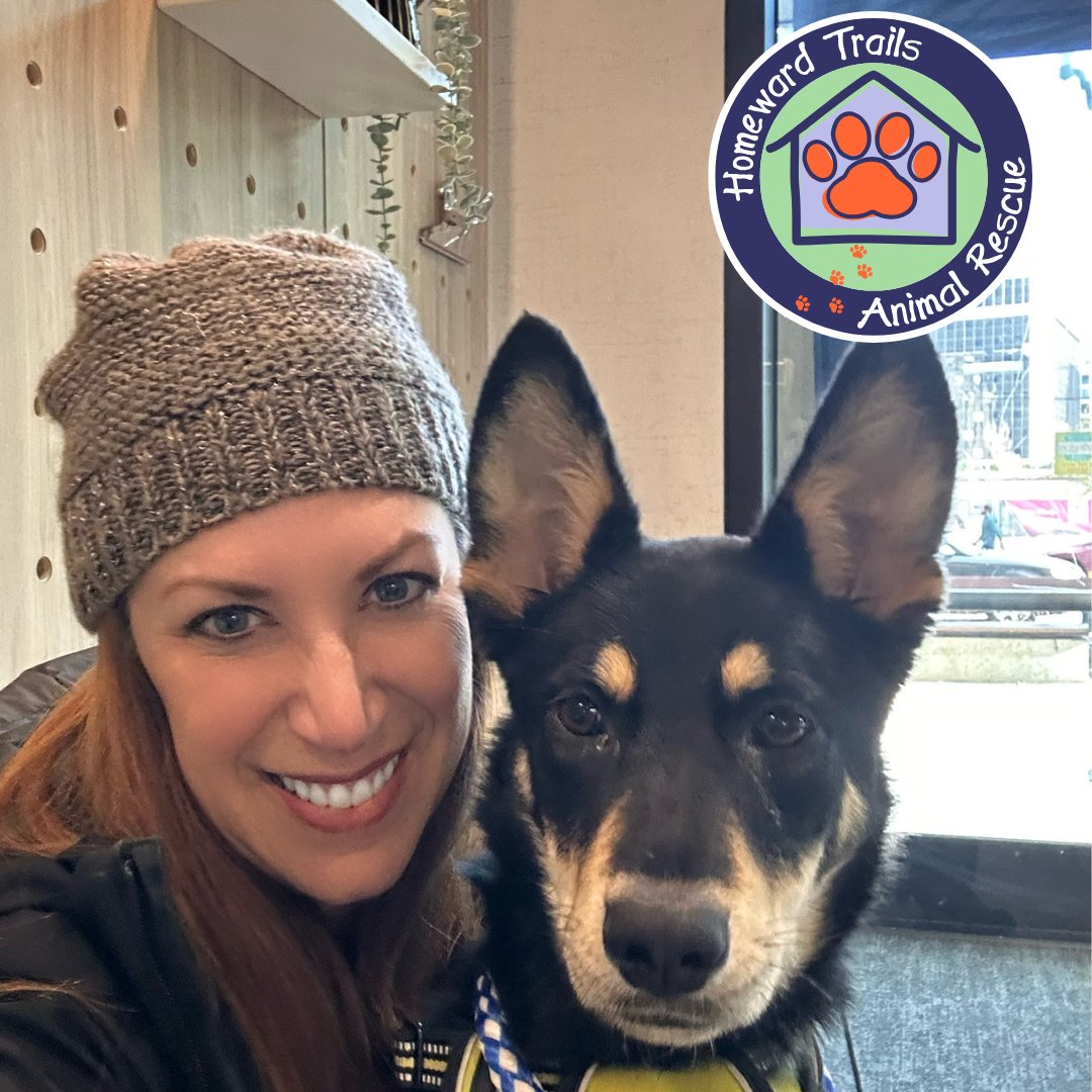 District Dogs tweet media