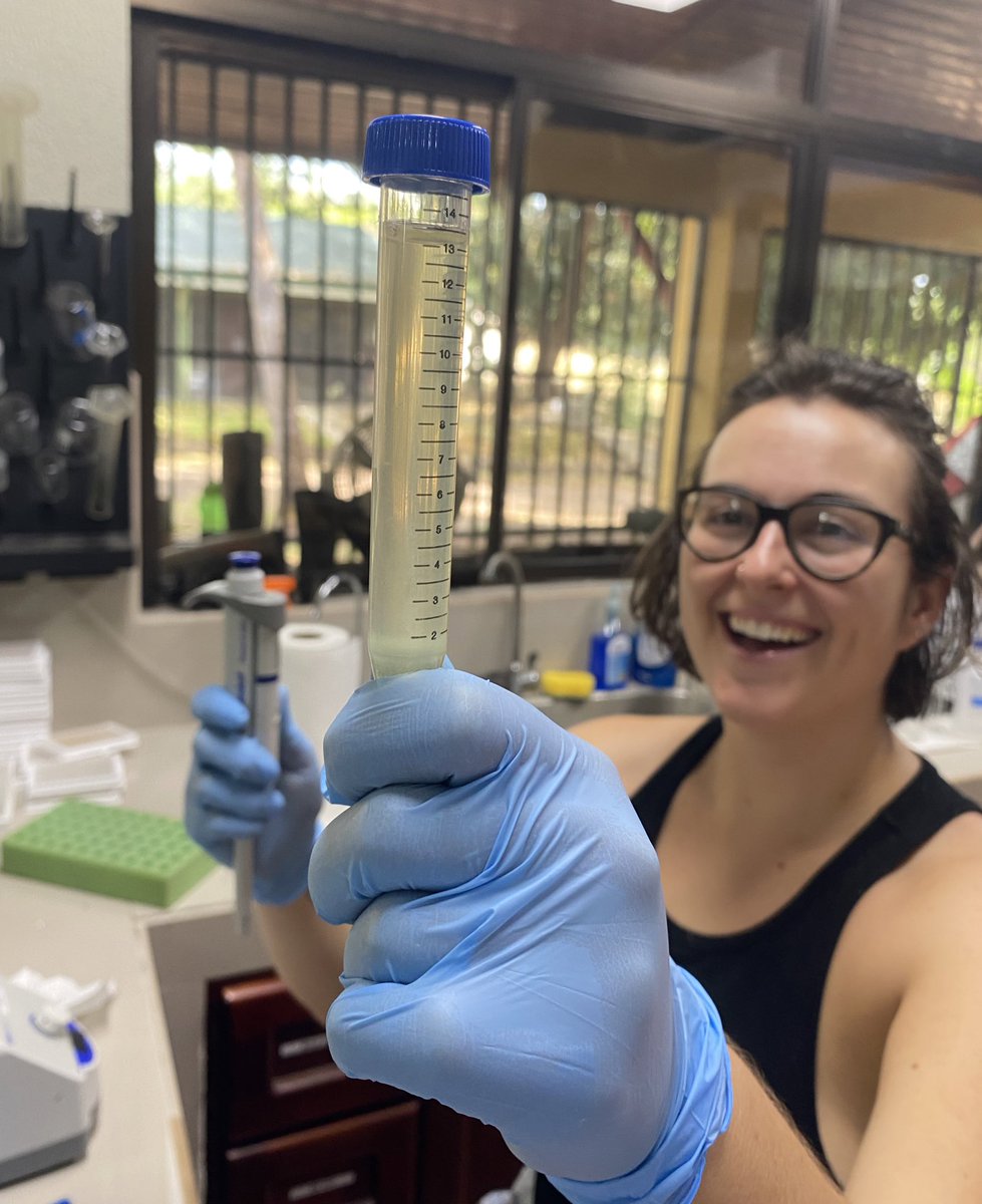 Amy White tweet media