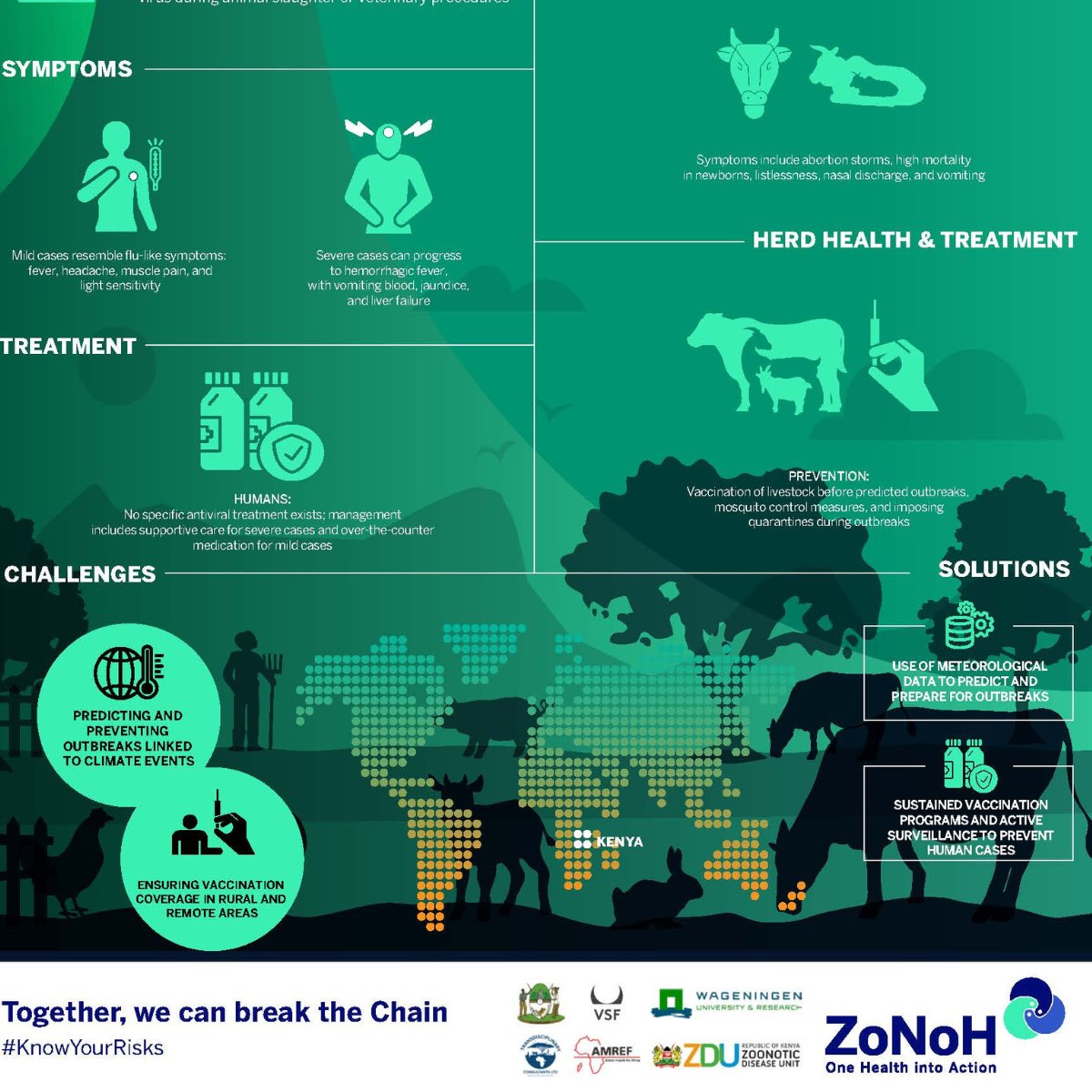 ZoNoHProject's tweet photo. Rift Valley Fever (RVF) is a viral zoonosis. RVF poses risks to humans and livestock, transmitted through mosquito bites and contact with infected animals. Key prevention includes vaccination and outbreak preparedness. #KnowYourRisks #ZoNoHProject https://t.co/A4rZBmeu7k