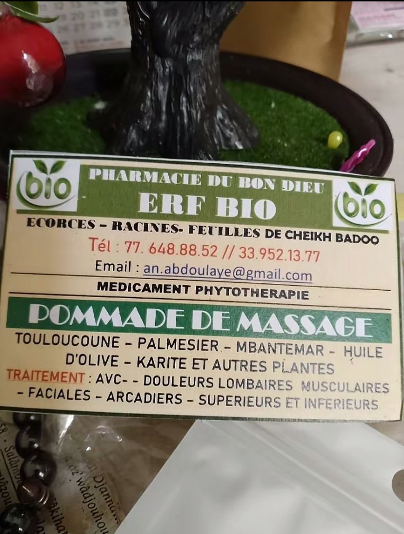 JobKaay's tweet photo. Ma plateforme, ERF Bio Consulting, se spécialise dans les métiers du futur grâce à Zeynab. Je suis dans l'entrepreneuriat et l'agrobusiness avec mes collègues, et nous avons la capacité de transformer et valoriser tout ce que nous touchons. Cependant, nous ne sommes pas encore👇🏾 https://t.co/xvS3el5juH