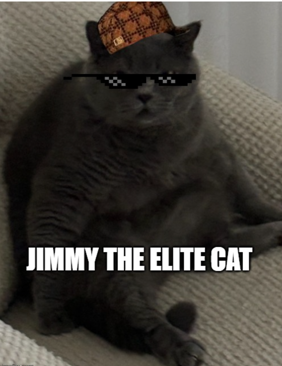 Jimmy (@ybyqs) on Twitter photo 