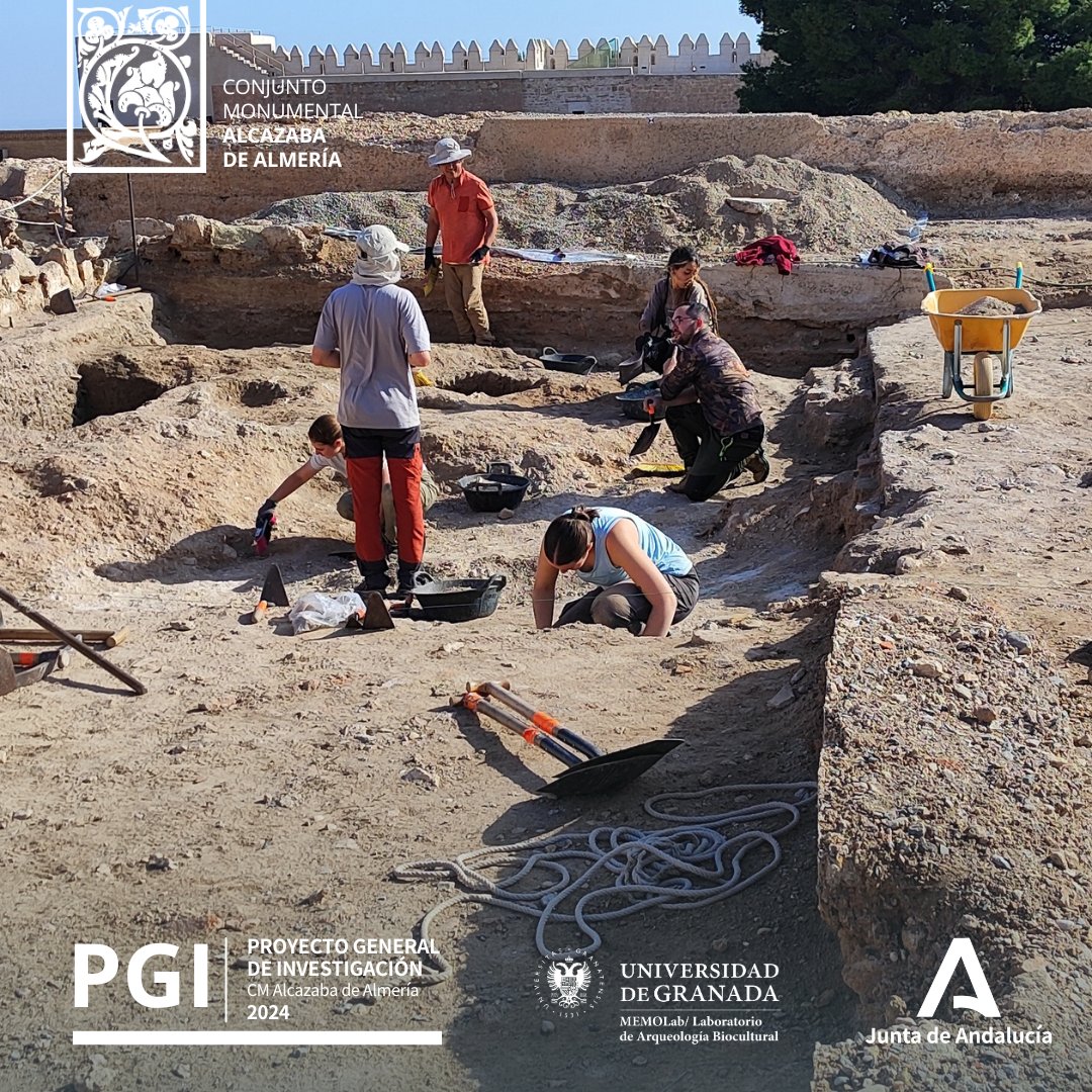 #PatrimonioAND | Continúan a buen ritmo los trabajos arqueológicos desarrollados en la zona de palacio en el marco del Proyecto General de Investigación 2024 <a href="/MEMOLabUGR/">MEMOLab</a> 

#SomosAlcazaba #InvestigaciónAlcazaba #PGI #PGIAlcazaba #Excavacionesarqueológicas #Arqueología