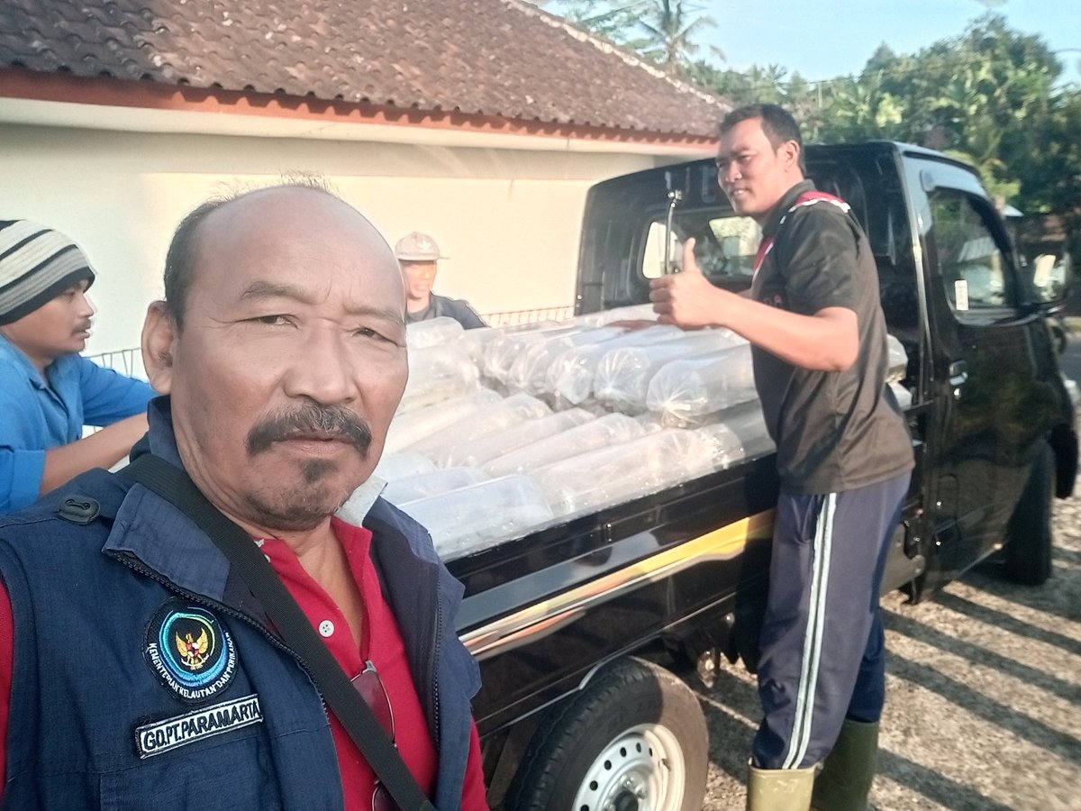 paramarta080's tweet photo. Jumat,(22/11),I Gede Putu Paramarta,Luhkan Kab.Bangli di POKDAKAN Mina Sari Desa Apuan,mendampingi panen benih nila sebanyak 16000 ekor,ukuran 9 cm,luas lahan 500,dengan harga Rp 500/ekor
#GiatLuhkanSatminkalGONDOL 
#Bangli
#Panen
@bppsdm_gondol 
@bppsdm_puslatkp https://t.co/bQUv4dUNKp