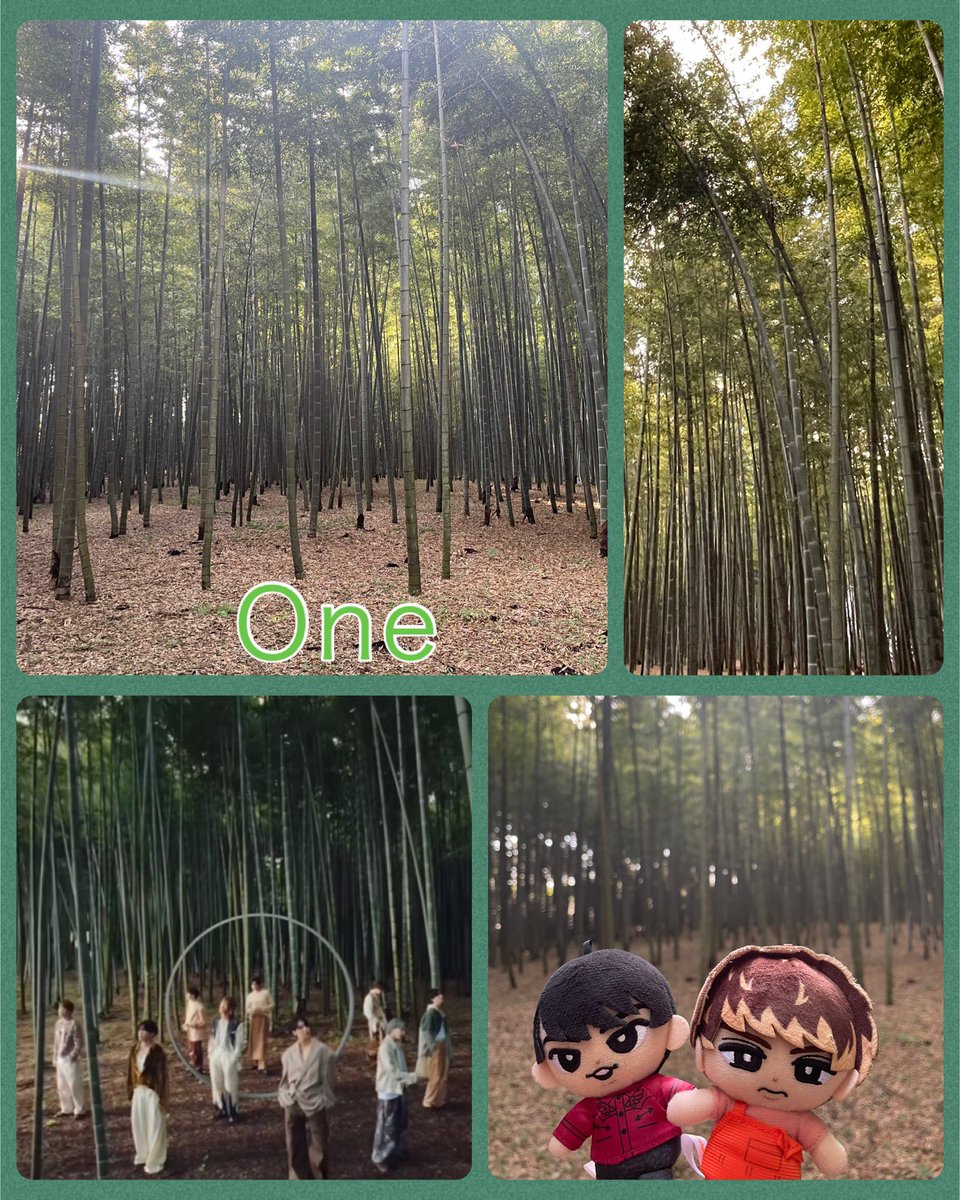 aibaka_ami's tweet photo. スノのOneのロケ地、『若竹の杜』に行って来ました。
東京ドーム5個分の広さの竹林の中から、特定するのは至難の技でした。3時間弱探し回って、目がクラクラ（笑）
この成果は？合ってる？
すのチルと一緒にね！

#SnowMan  #One  #若竹の杜 #宇都宮 #宮舘涼太　#向井康二 https://t.co/FkwReXljM6