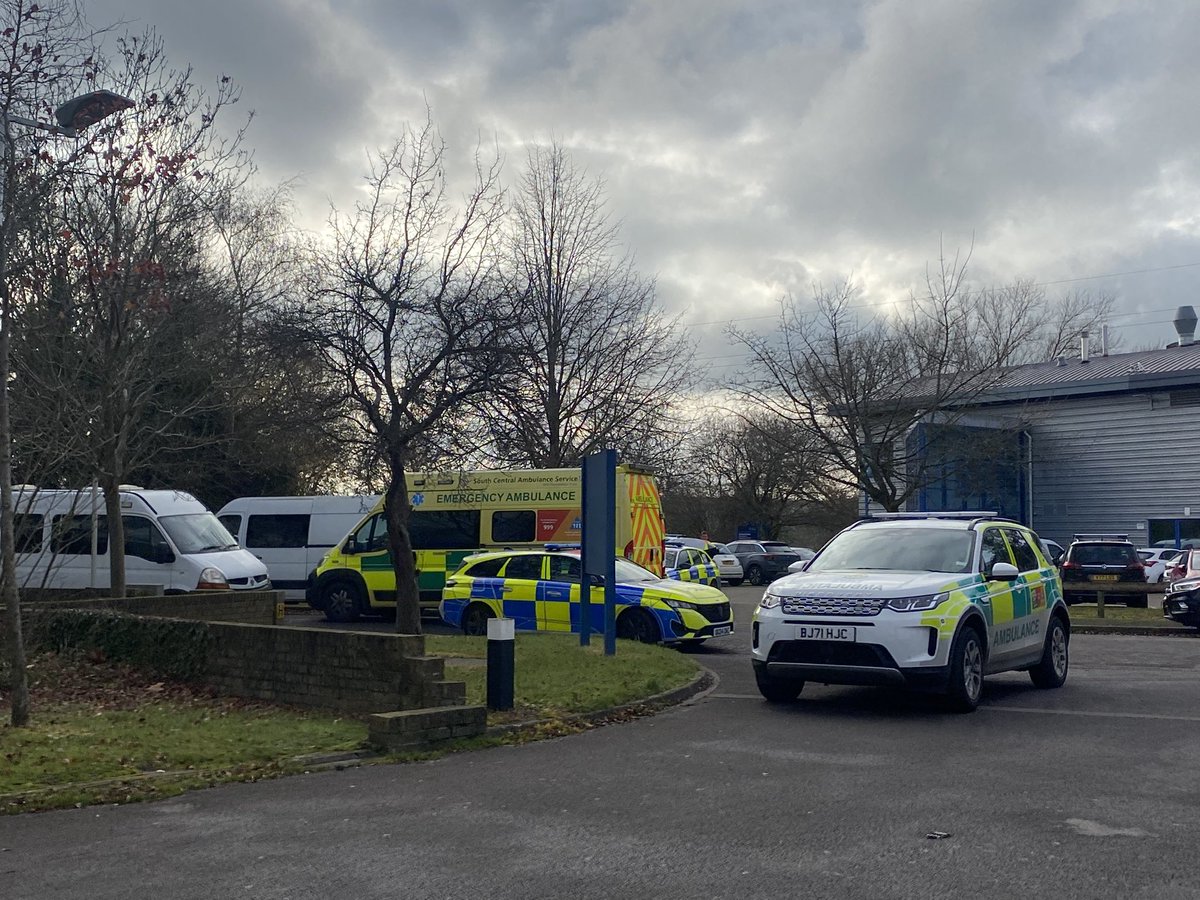 Madeleine Evans tweet media