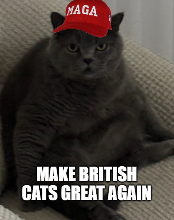 Jimmy (@ybyqs) on Twitter photo 