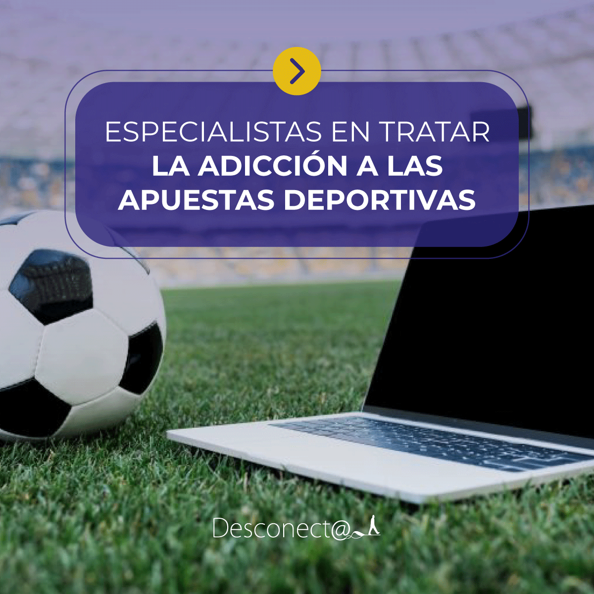 Programa Desconect@ tweet media