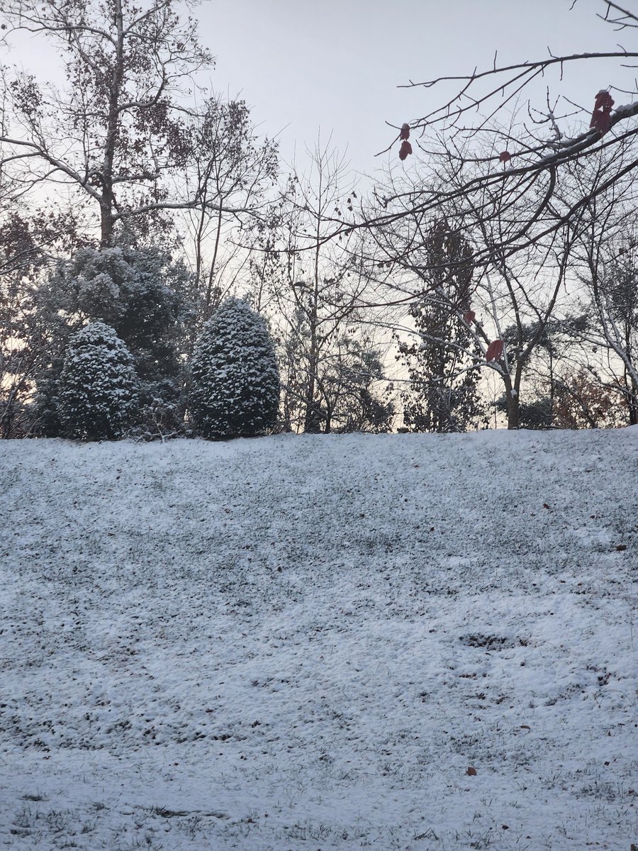 westmisty10's tweet photo. @TimBuckleyWX Asheboro, NC https://t.co/0bn2NHhAnl