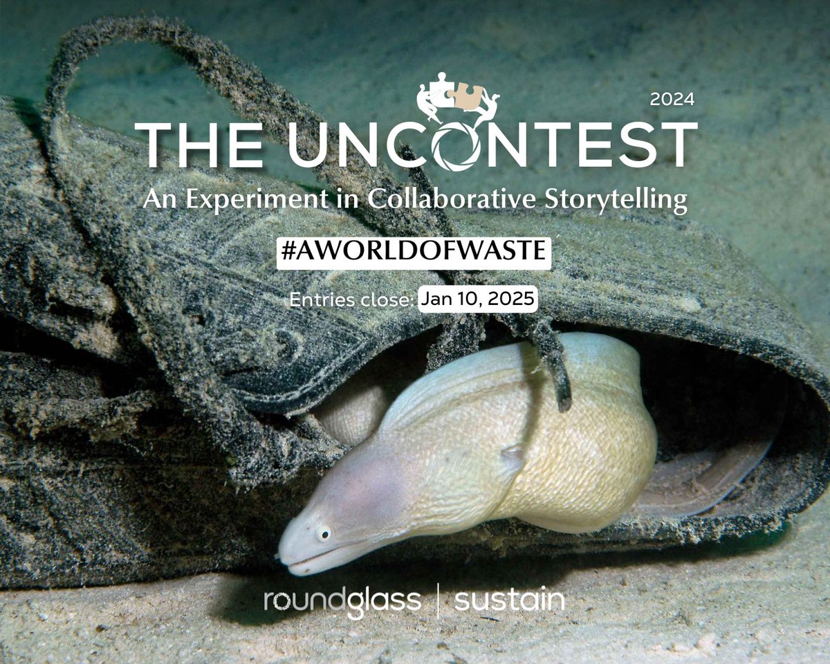 RGSustain1's tweet photo. Uncontest 2024 is Here!
We are back with a new theme for 2024, #AWorldOfWaste! The world has a waste problem, and it has infiltrated everything—our oceans, rivers, mountains, and forests. Research indicates that half of all sea turtles have ingested plastic. (1/3) https://t.co/24P3g1xMHy