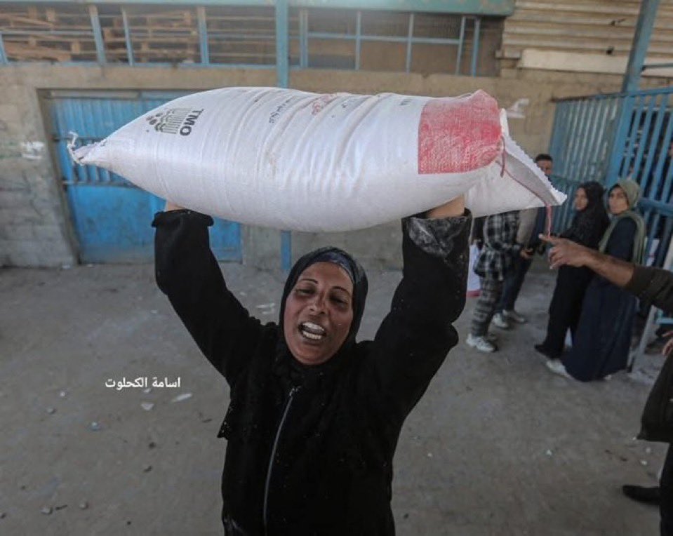 MyPalestine0's tweet photo. فرحة ام فلسطينية بعدما تمكنت من الحصول على كيس من الطحين. 

هذه الصورة عار يلاحق كل من تخاذل عن نصرة غزة. https://t.co/9G2sw97qCI