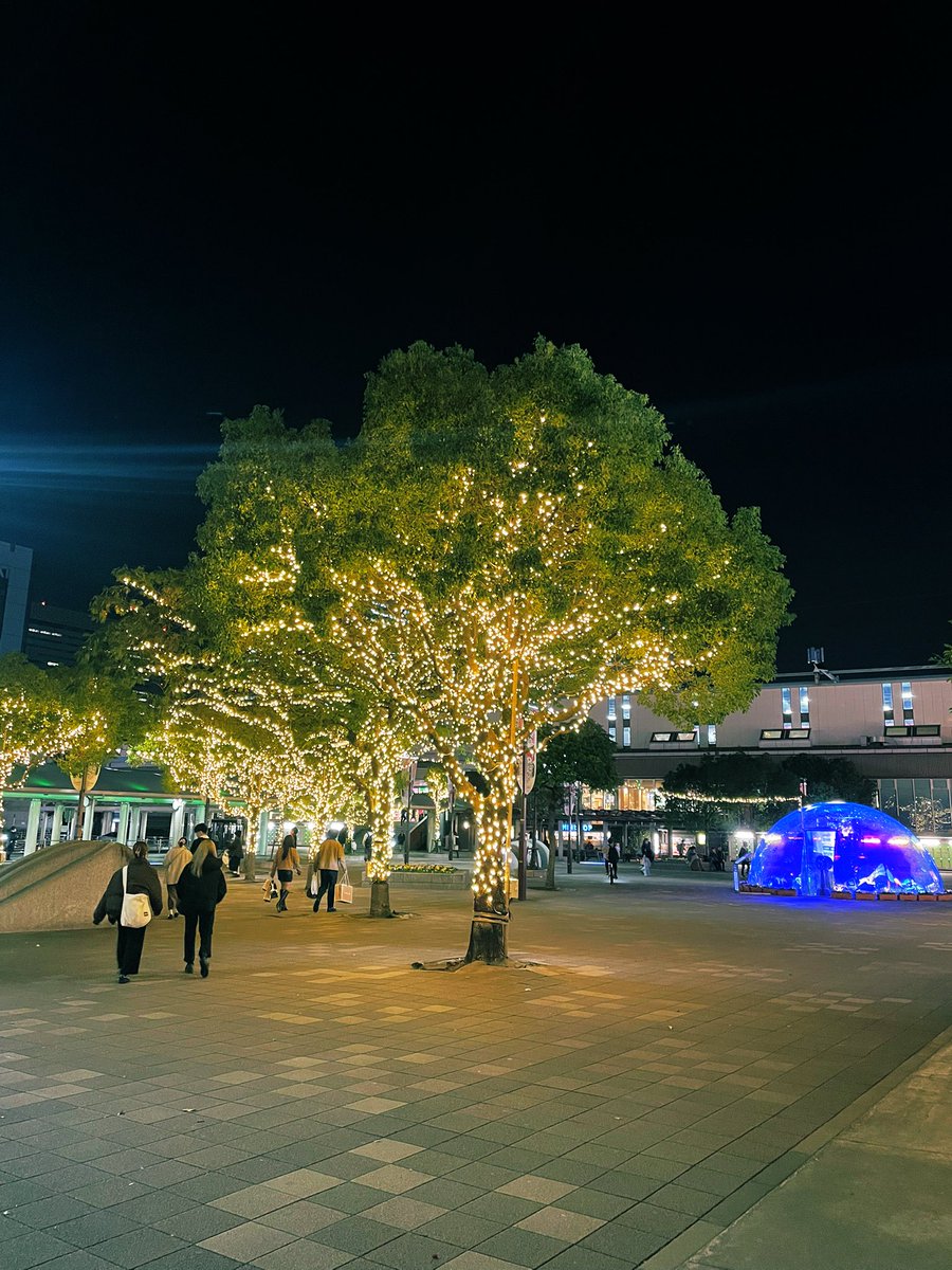 mama0308's tweet photo. 昨夜は夫が早く帰れると言ったので都内帰りの自分は駅で待っていて、一緒にミハマベースに行ったの。お目当てはファーメントリーシモツキIPA🍻こりゃまた美味かった!夫ハーフ✖️1、私パイント✖️2➕ハーフ✖️1😂
酒豪でスマン。しかし行き帰り並んで歩いてるだけで楽しかった〜
#MIHAMABASE https://t.co/MCHFMru0bq