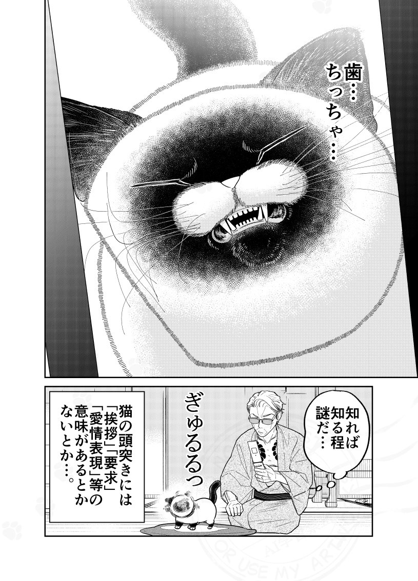 (2/2) 