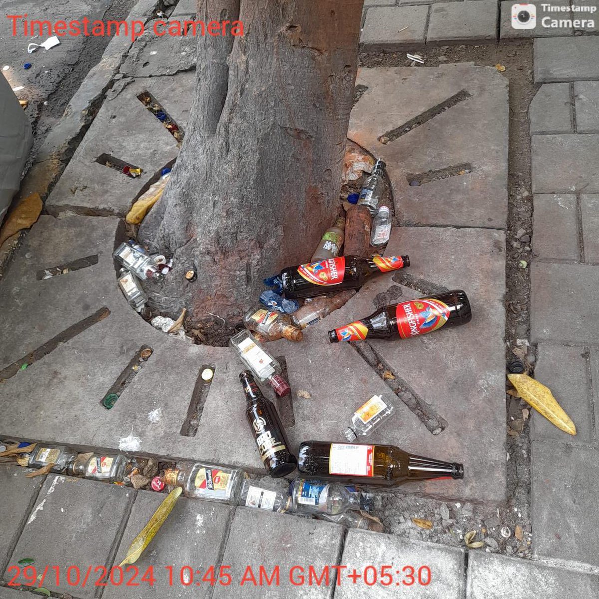 breachcandyALM's tweet photo. Drunkenness and brawls causing safety issues on pavements  for residents of #BhulabhaiDesaiRoad. @MumbaiPolice please come and check what’s going on after hours at @livingliquidz . @GamdeviPS 
@MPLodha please help us. @BCRFbreachcandy https://t.co/ccECVgmKbj
