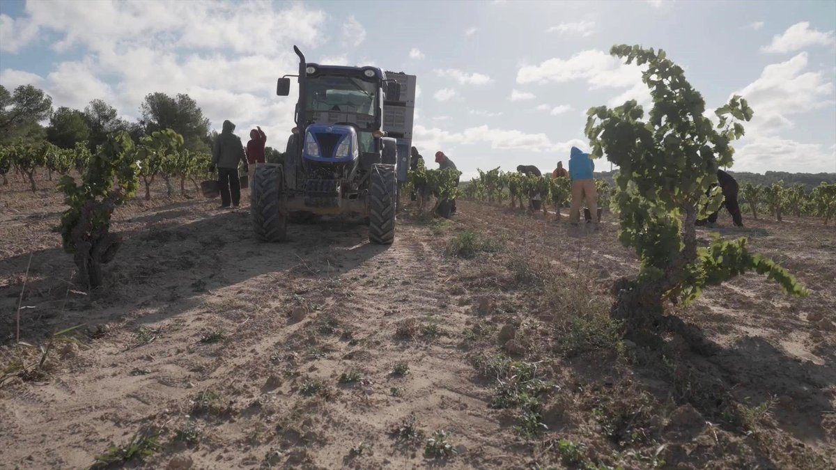 LIVEMEDIA tweet media