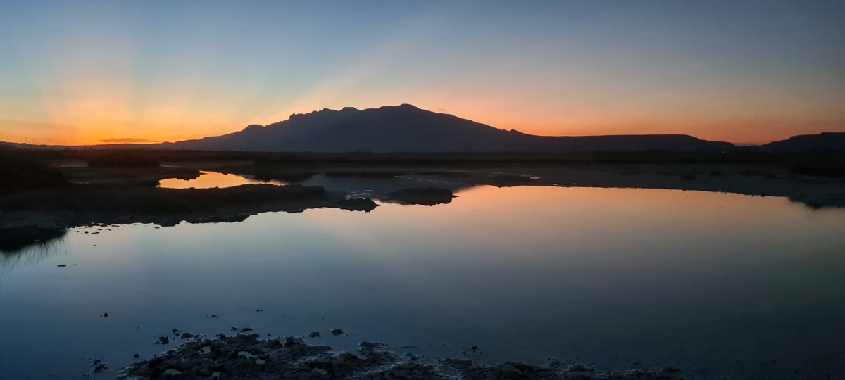 turtletweets's tweet photo. Looking for a creative way to give back this Giving Tuesday? Start a holiday or birthday fundraiser for our cause! Supporting us will help protect Cuatro Ciénegas, a rare and endangered ecosystem in Mexic home to three highly threatened endemic turtles

Donate today! https://t.co/4cvzaVOOmz
