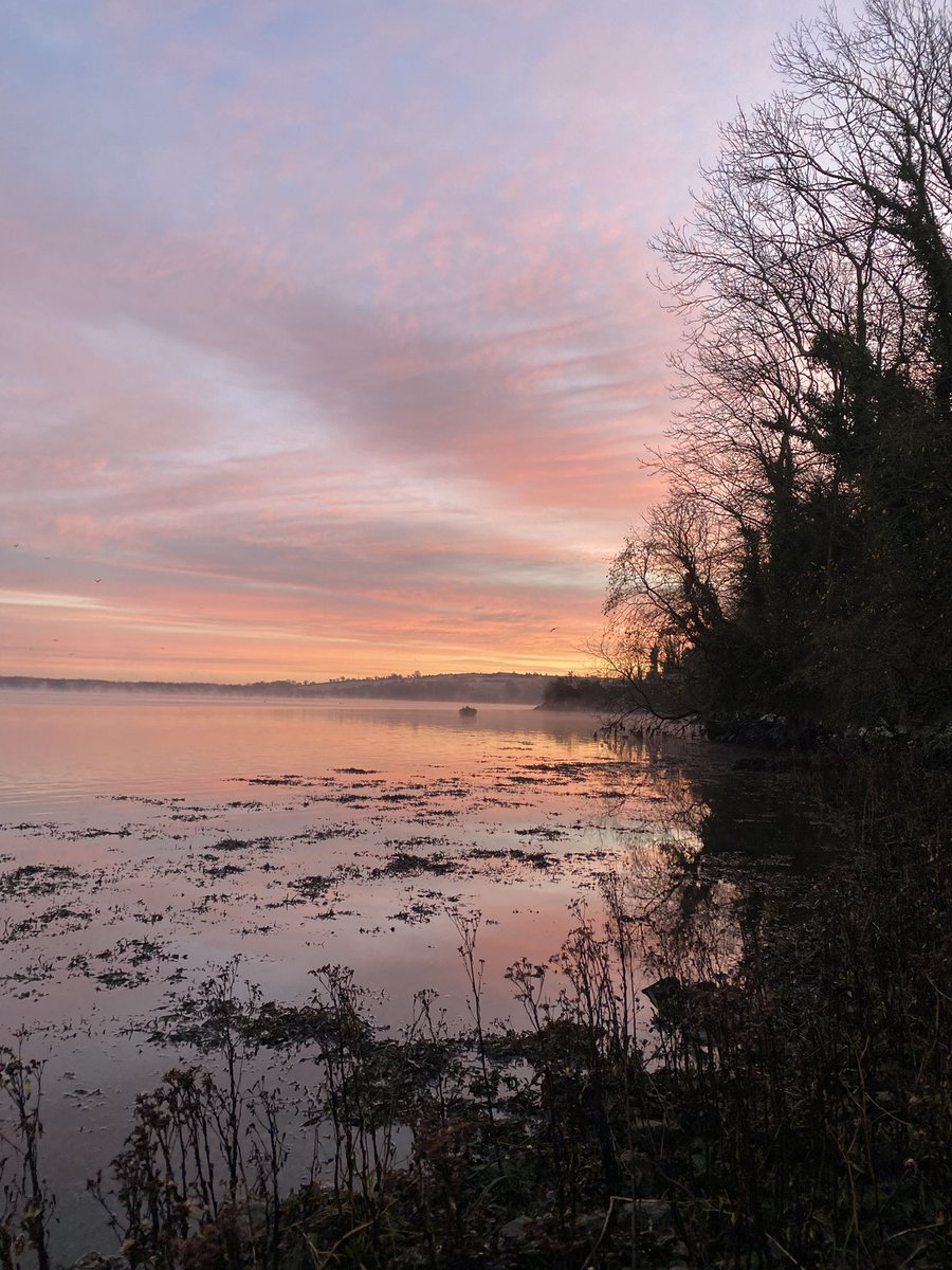 cake_dame's tweet photo. A beautiful December morning … #Cheekpoint looking across at #Dunbrody Abbey . https://t.co/Tp0Yx0sqff