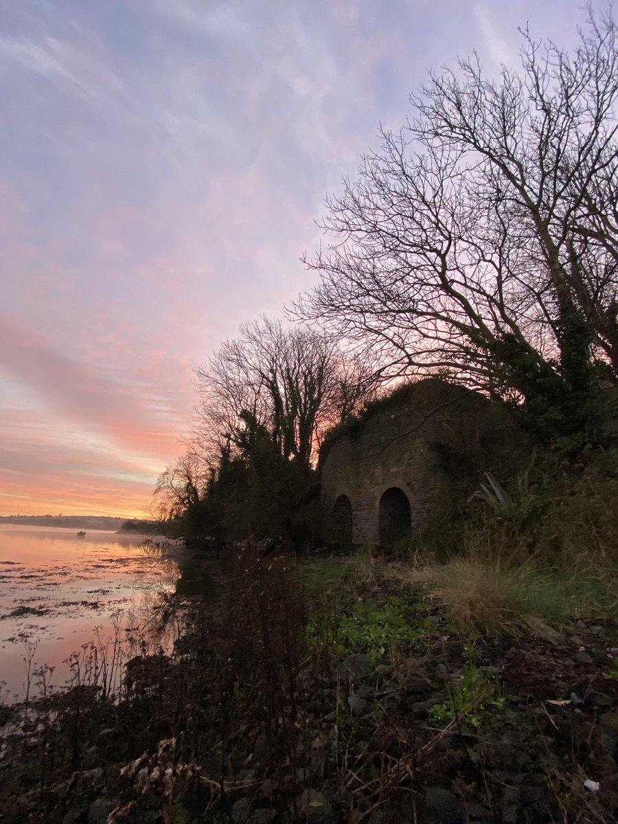 cake_dame's tweet photo. A beautiful December morning … #Cheekpoint looking across at #Dunbrody Abbey . https://t.co/Tp0Yx0sqff