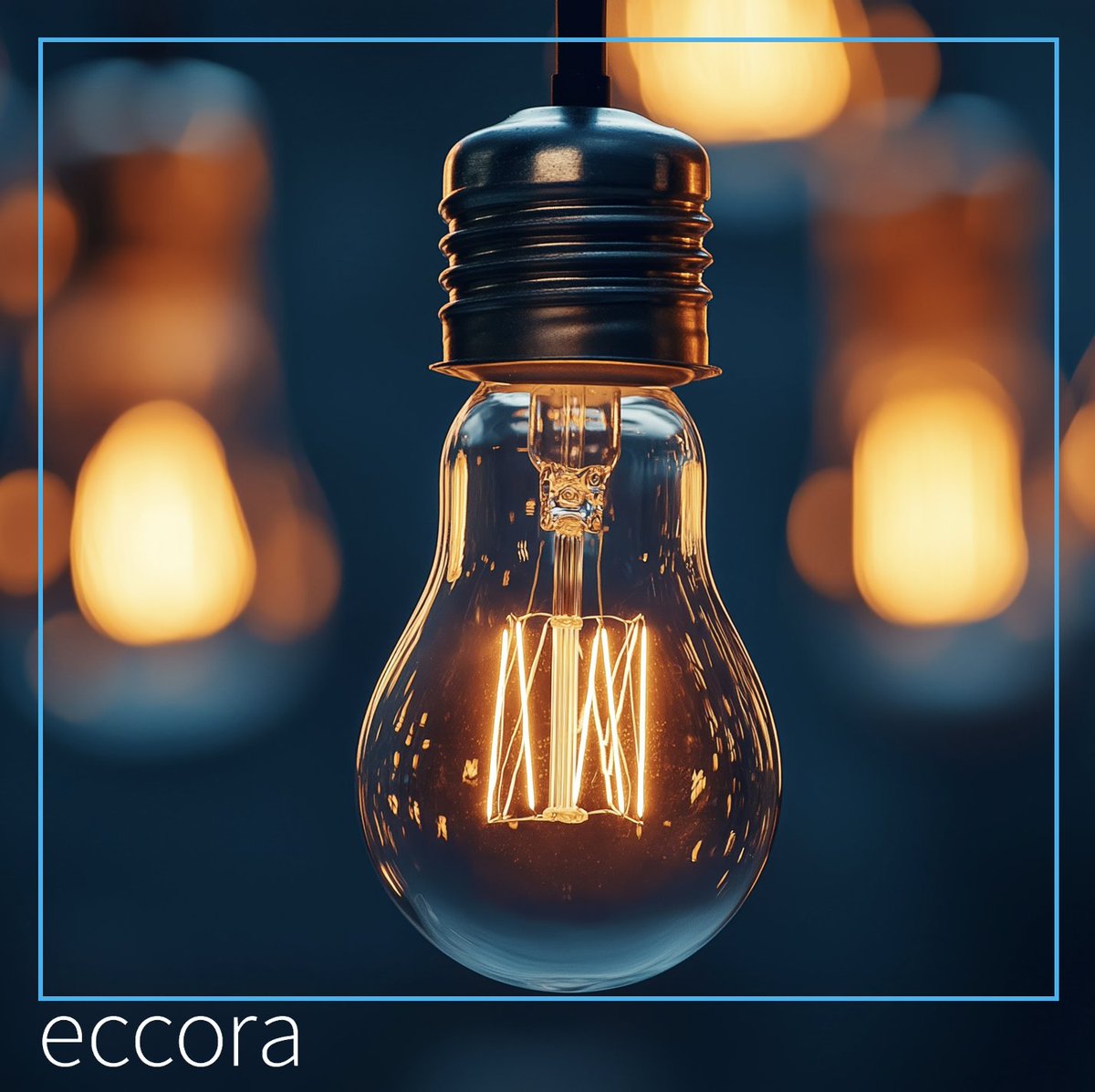 eccora tweet media