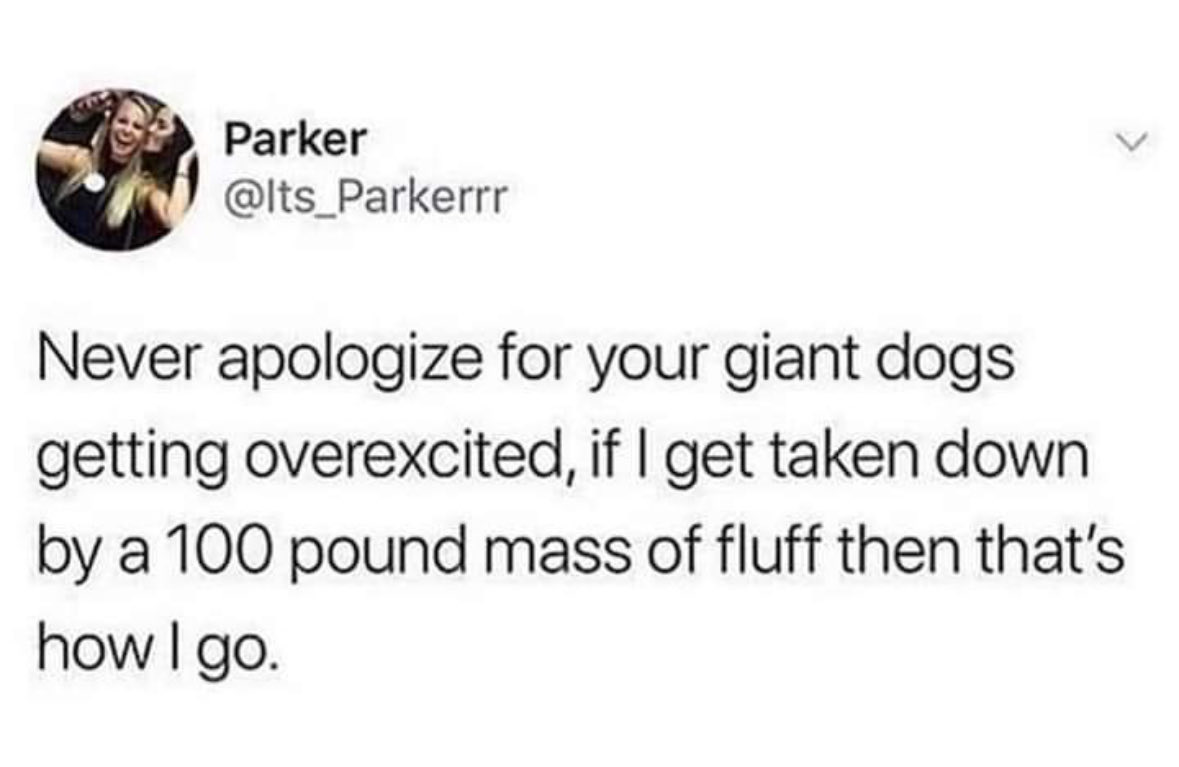 RespectfulMemes's tweet photo. https://t.co/02IfzXZkIJ