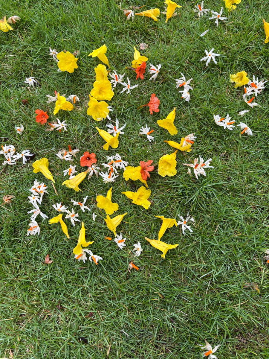 Rain kissed and Radiant...sharing nature's beauty with you:)