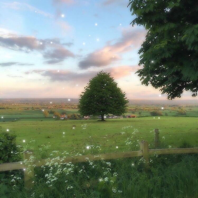 greenvibe's tweet image. 