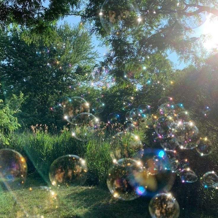 greenvibe's tweet image. 