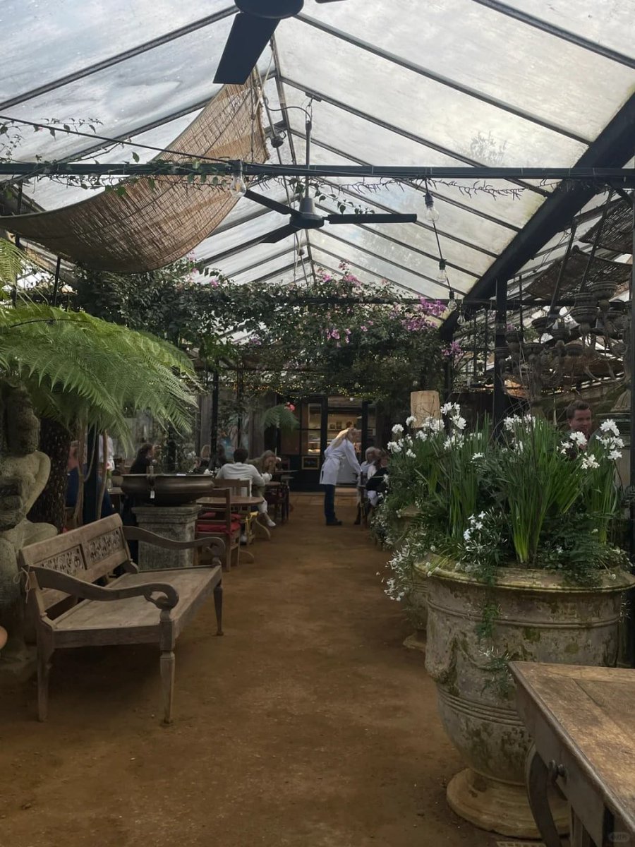 komplex06's tweet image. In the quiet corners of the world, beauty whispers secrets to those who take the time to listen 💐💫