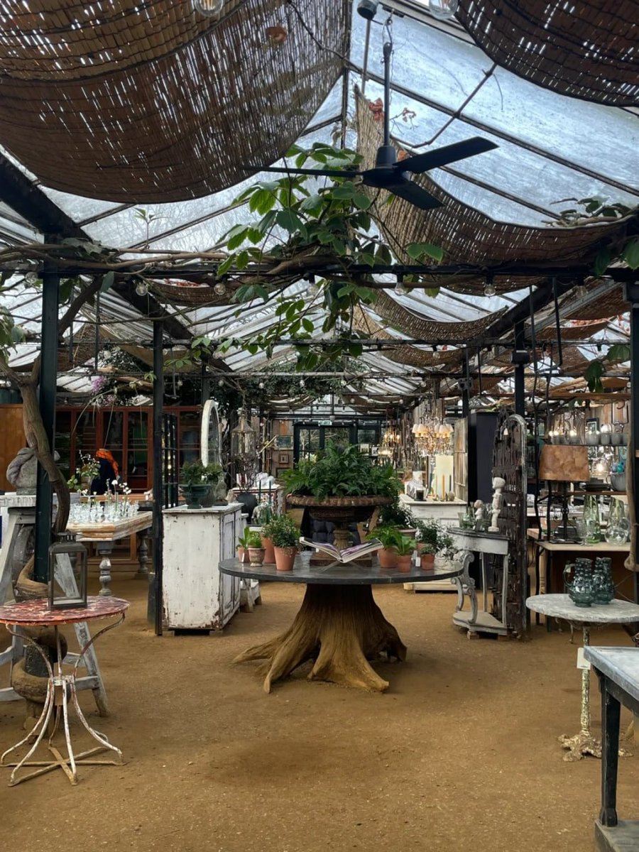 komplex06's tweet image. In the quiet corners of the world, beauty whispers secrets to those who take the time to listen 💐💫